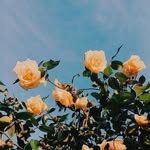 hlo - @99__marksites - Instagram