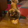 mark svik - @mark.svik - TikTok