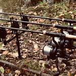 Mark Skillen - @skillen.mark - Instagram