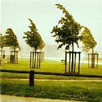 Mark Skillman - @markskillman - Instagram