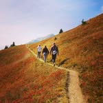 Mark Slevin - @learn_while_travelling - Instagram