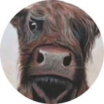 Mark Slinger - @mark_slinger64 - Instagram