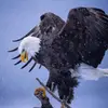 Mark Smith - @mark_smith_photography - TikTok
