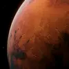 Capybara - @markussmolik - TikTok