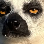 KOMG - @marksnappyy - Instagram