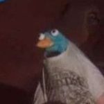 Mark Snider - @markus_the_sharkus05 - Instagram