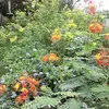 Mark Snider - @mark.snider72 - TikTok
