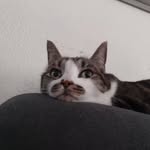 Mark Sohn - @msohn951 - Instagram