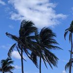 Mark Solberg - @solberg.mark - Instagram