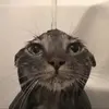 Markus.Solheim - @hesseusn0wk - TikTok