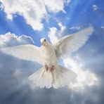 Mark A Soprano - Facebook