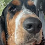 Mark soprano - @mydaugheristhebest - Instagram