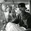 sorrento23 - @marksorrento408 - TikTok