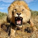 Mark Sowden - @sowdenmark5 - Instagram