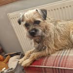 Mark Sparrow - @sparrowmark - Instagram