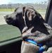 Mark Spaulding - Facebook
