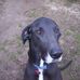 Mark Speece - Facebook