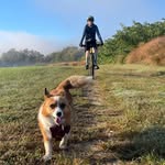Mark Speer - @themarkspeer - Instagram