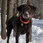Mark Speer - @markspeer1970 - Instagram