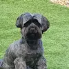 mark spellman - @mark.spellman8 - TikTok