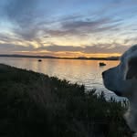 Mark Spicer - @spicer4157 - Instagram