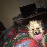 Mark Spiesman - @markspiesman - Instagram