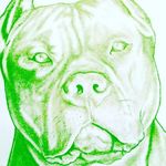 Mark Spillane - @mark.spillane.165 - Instagram