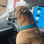 Mark Sprenger - @mark.sprenger.50 - Instagram