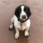 Mark Squires - @mark.squires.108 - Instagram