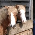 @mark_squires2006 - Instagram