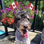 Mark Squires - @mark10175 - Instagram