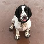 Mark Squires - @mark.squires.108 - Instagram