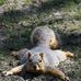 Mark Squirrell - Facebook