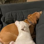 Mark Stabile Jr. - @will.mark00 - Instagram