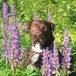 Mark Stadsklev - @alaska_photo_pilot - Instagram