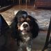Mark Stagner - Facebook