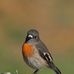 Mark Stallwood Photography - Facebook