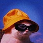 Mark Stanko - @stanko.markk - Instagram