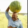 Marko Stanko - @user45553971 - TikTok
