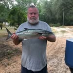 Mark Stanley - @markstanley__77451 - Instagram