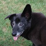 MARK STANSBURY - @mark_48729 - Instagram