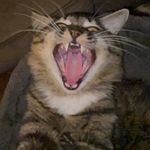 Mark Stanton - @mark_s31189 - Instagram