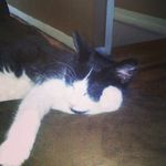 mark stanton - @markstanton2004 - Instagram