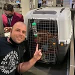Mark Staples - @mark_staples - Instagram