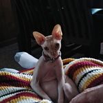 Mark Starkey - @mstarkey27 - Instagram