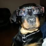Mark Starkey - @smeg006 - Instagram