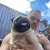 Mark Starkey - @mark.starkey2 - TikTok