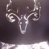 Mark Starkey - @mark.starkey6 - TikTok