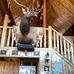 Mark Stayer - Facebook