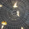 Rirooo_Ashraf - @mark.strayer17 - TikTok